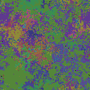 World at epoch 40000