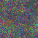 World at epoch 25000