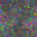 World at epoch 25000