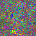 World at epoch 31000