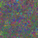 World at epoch 35000