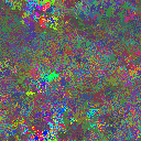 World at epoch 31000