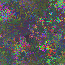World at epoch 37000