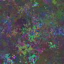 World at epoch 38000
