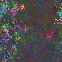 World at epoch 35000