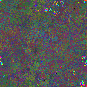 World at epoch 23000