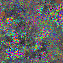 World at epoch 37000
