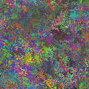 World at epoch 35000