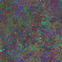 World at epoch 24000