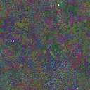 World at epoch 25000