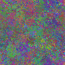 World at epoch 25000