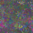 World at epoch 22000