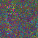 World at epoch 22000