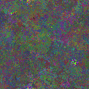 World at epoch 24000