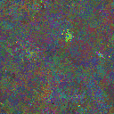 World at epoch 25000