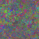 World at epoch 35000