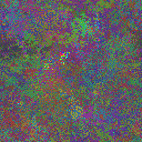 World at epoch 29000