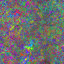 World at epoch 38000