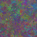 World at epoch 31000