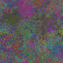 World at epoch 25000