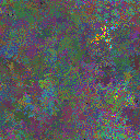 World at epoch 29000