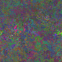 World at epoch 31000