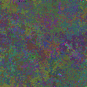 World at epoch 32000
