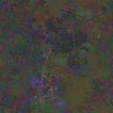 World at epoch 22000
