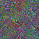 World at epoch 35000