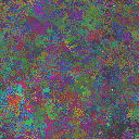 World at epoch 39000
