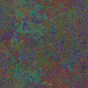 World at epoch 35000