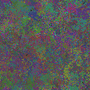 World at epoch 35000