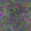World at epoch 38000