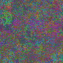 World at epoch 31000