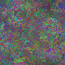 World at epoch 40000