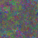 World at epoch 40000