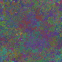 World at epoch 39000