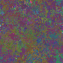 World at epoch 40000