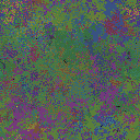 World at epoch 40000