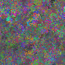 World at epoch 25000