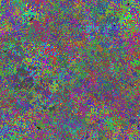 World at epoch 31000