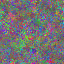 World at epoch 35000