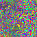 World at epoch 39000