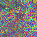 World at epoch 40000