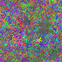 World at epoch 40000