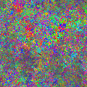 World at epoch 25000