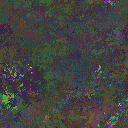 World at epoch 25000