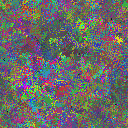 World at epoch 25000