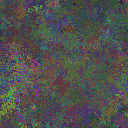 World at epoch 25000