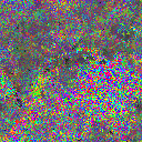 World at epoch 25000